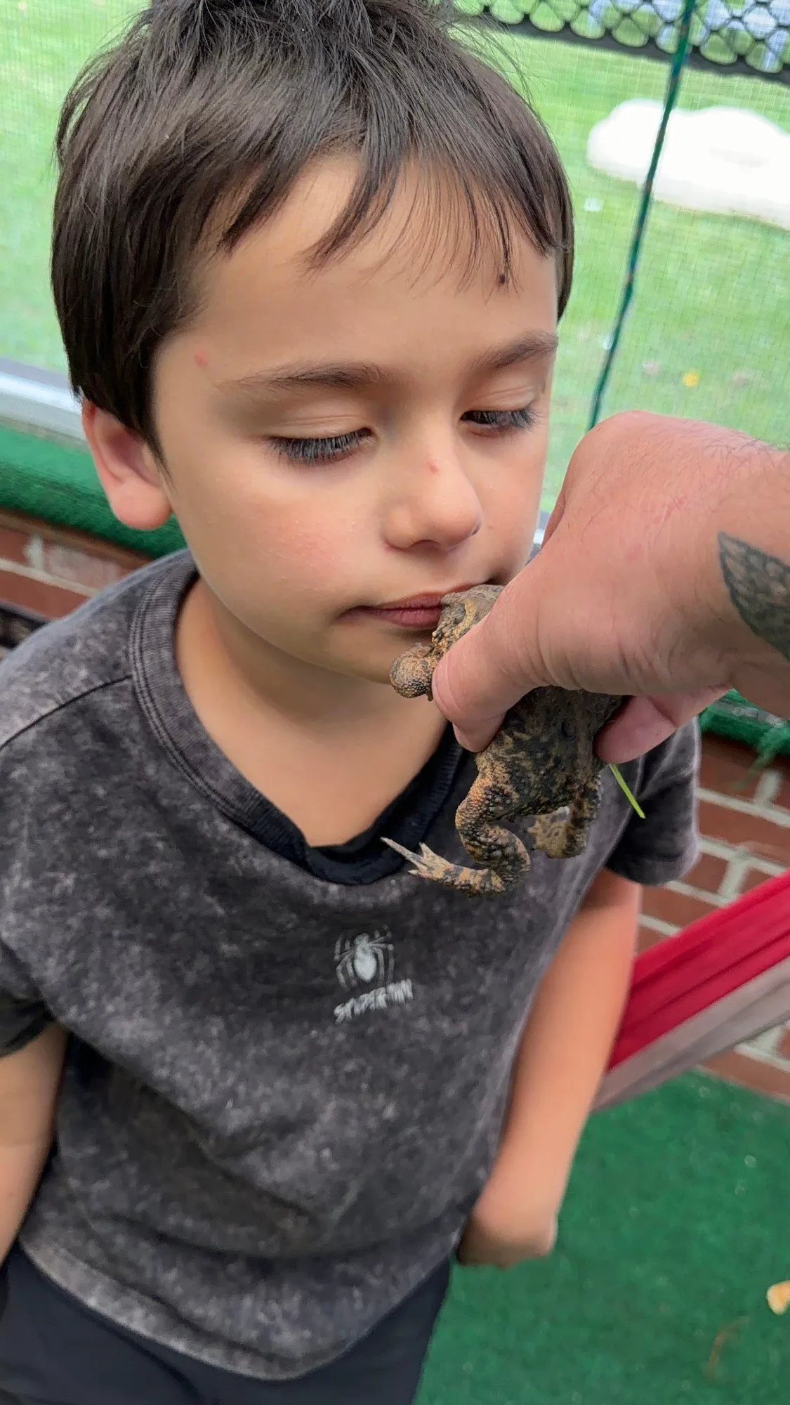 Remy giving a toad a kiss while it is held up to him in the backyard
